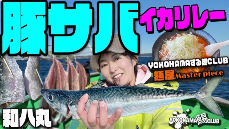 【絶品！真冬の 豚サバ イカリレー】冬の風物詩 勝浦 の ブタサバ ！ 寒く暗い中ぞろぞろと上がる 豚サバ はちょっと恐怖の女帝～でもこれが絶品！一度食べたら病みつき！ これは食べ釣価値あり！ですよ～