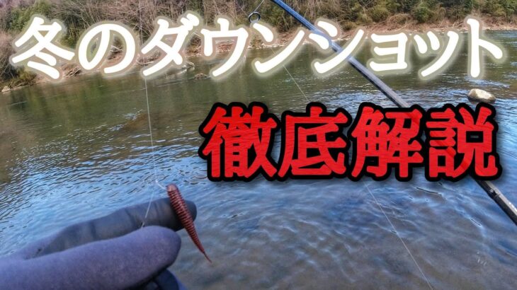 【バス釣り】真冬でも釣れるダウンショットリグの動かし方、おすすめワーム、タックル、など徹底解説！【冬】【釣り方】【初心者】