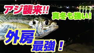 外房は真冬も強かった！アジ襲来【サビキ】この時期でもアジが狙える！（夜〜深夜）