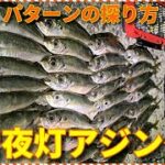 【常夜灯アジング】アジを数釣りする方法を徹底解説！