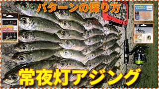 【常夜灯アジング】アジを数釣りする方法を徹底解説！