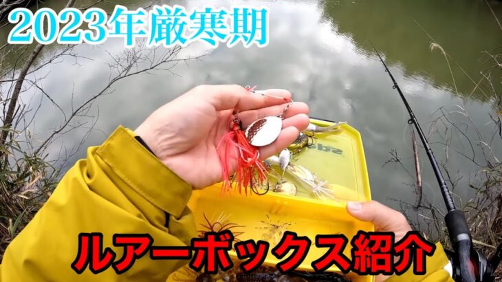 冬に釣れるルアー、その使い方など紹介します