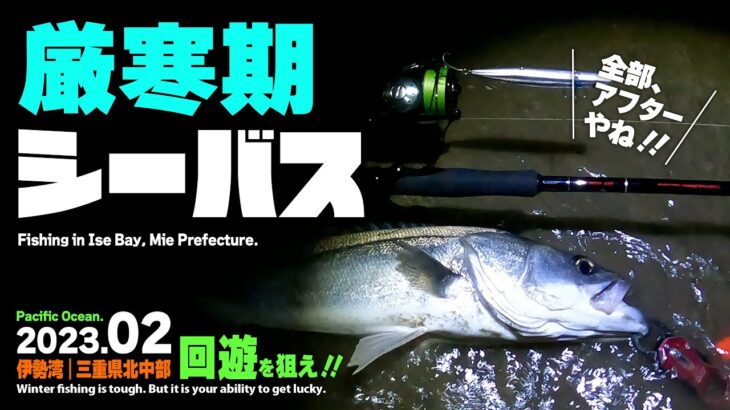 【厳寒期シーバス‼️】三重県伊勢湾奥の冬シーバスを釣る／シャローを回遊するスズキを狙う【河口ウェーディング】