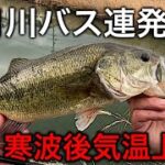 ２月川バス連発【釣れる日はストイック】 冬バス釣り