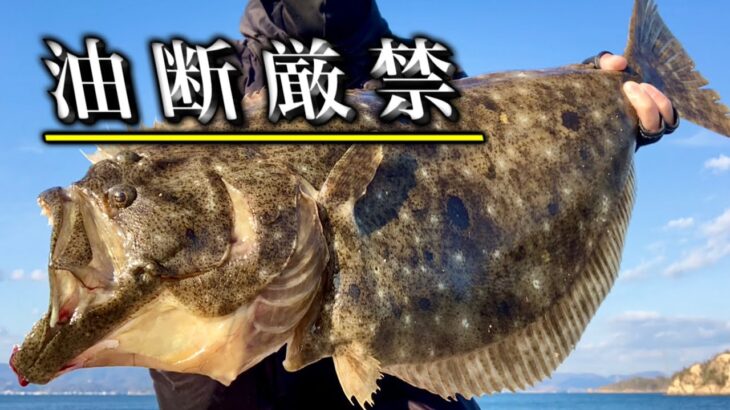 こういう場所ではタモ入れ必須の大物がよく釣れる【初心者向け】万能ルアーでヒラメ釣り