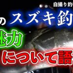 【シーバス】冬シーズンの楽しさと攻略法と