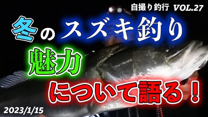 【シーバス】冬シーズンの楽しさと攻略法と