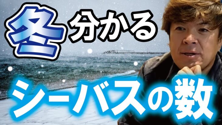 暖冬か寒冬でシーバスの数が変わる　　村岡昌憲【切抜き】