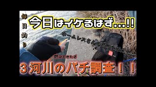 ２月５日　大潮２日目は怒涛の３河川バチ調査！！【シーバスフィッシング】