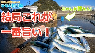 サビキ釣り編  釣りの原点回帰！夢中になれる釣り。