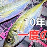 【アジング】尺アジオーバーは◯◯に！真冬の大寒波メガアジクラスの回遊は？