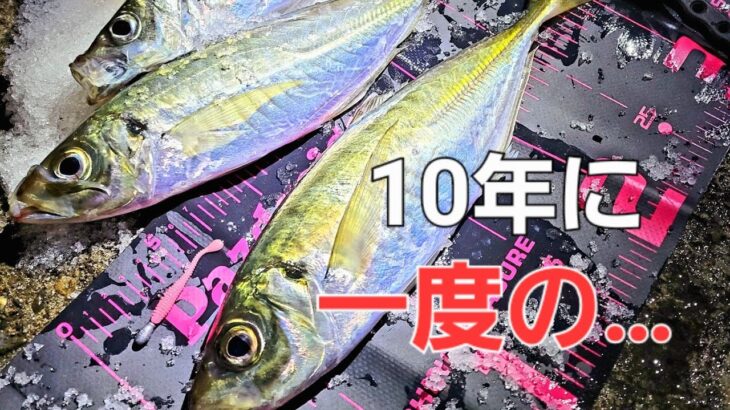 【アジング】尺アジオーバーは◯◯に！真冬の大寒波メガアジクラスの回遊は？