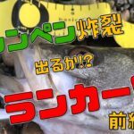 【境港・鳥取(釣り)】真冬の山陰シーバス　シンペン炸裂大爆釣　出るかランカー!?(前編)　中海からの群れが大量に!!