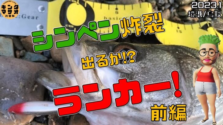 【境港・鳥取(釣り)】真冬の山陰シーバス　シンペン炸裂大爆釣　出るかランカー!?(前編)　中海からの群れが大量に!!