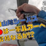 【中海・鳥取(釣り)】真冬の山陰シーバス　シーバスに〇〇〇は効くのか！？