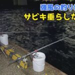 強風の釣り場でサビキ垂らしたら爆釣