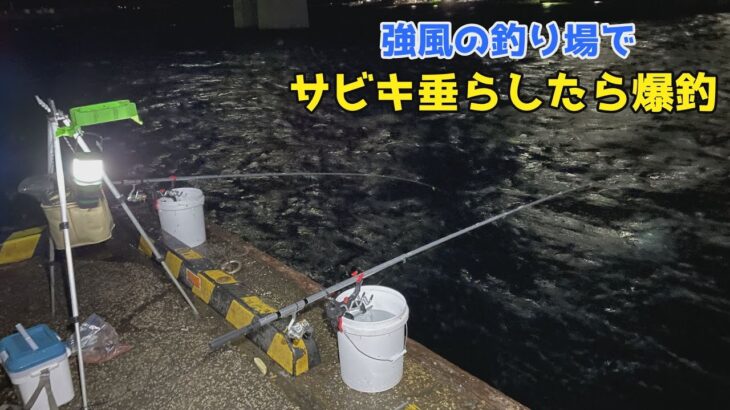 強風の釣り場でサビキ垂らしたら爆釣