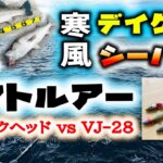 寒風デイゲームシーバス！釣れるソフトルアー！ – ストライクヘッド vs VJ-28 沖堤防編 シーバスワーム