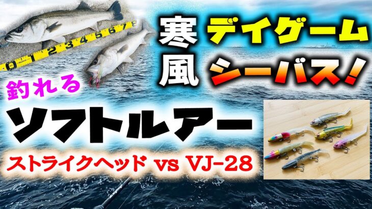 寒風デイゲームシーバス！釣れるソフトルアー！ – ストライクヘッド vs VJ-28 沖堤防編 シーバスワーム