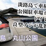 【釣り場動画#118】淡路島の車横付け釣りスポットはエギングやアジングが楽しい穴場の釣りスポット（丸山公園）