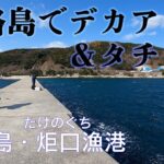 【釣り場動画#119】淡路島でタチウオとアジングを楽しめる洲本市の炬口漁港、エギングのアオリイカも穴場になっています