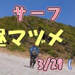 【春　サーフ】昼マヅメ　やっぱ朝かなぁ～（137)　3/29