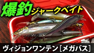 【意外と知らない】なぜワンテンは釣れるのか？ 20本以上のジャークベイトを実験してみた結果…【爆買いスピリッツ】