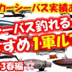 【ランカーシーバス実績あり】春シーバスが釣れるオススメ１軍ルアー！（2023春編）ルアーの選び方と使い方、ベイトの種類も解説してみました！