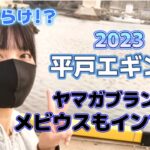 2023平戸で春イカはじめ！？【猫が可愛いだけ】