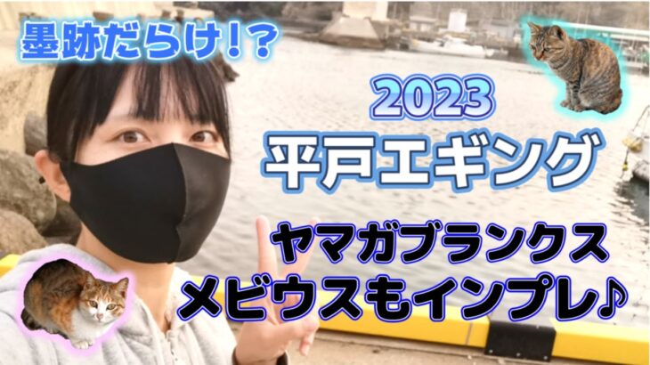 2023平戸で春イカはじめ！？【猫が可愛いだけ】