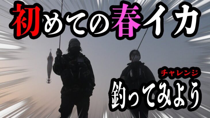 ハイエンドモデルの２３レガリス登場⁈初心者が春イカに初チャレンジ！の二本です。2023 3月