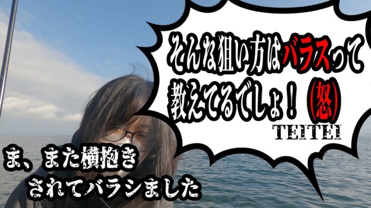 よく釣る人は知っている。横抱き率を下げる方法！2023 3月　エギング