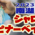 2023春　南湖シャロー×スピナーベイト【琵琶湖バス釣り】