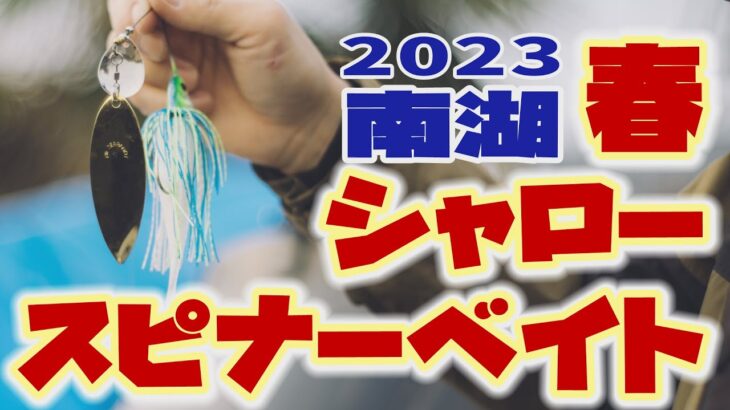 2023春　南湖シャロー×スピナーベイト【琵琶湖バス釣り】