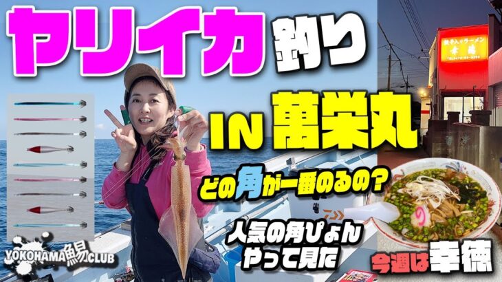 【実験！ツノピョン】どのツノに乗るのか？ 2023ヤリイカシーズン到来！ 南房のヤリイカは今年も好調！ ８点９点続出！今回の する麺CLUB はみんな大好き幸徳です～これであなたも萬栄丸の常連さんです