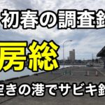 人気の港がガラ空き⁉︎どういうこと？サビキ調査釣行2023.3