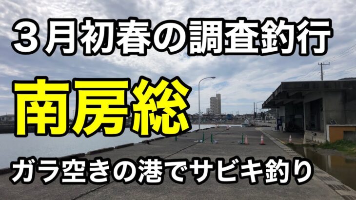 人気の港がガラ空き⁉︎どういうこと？サビキ調査釣行2023.3