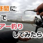 真っ昼間に河口でルアー釣りしてみたら…【2023年2月25日】