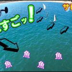 【前編】🐟ぼろっぼろ仕掛けエサ無しで爆釣❗【サビキ釣り】釣行日2023/2/28(火)