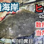 【大磯海岸】速報 ヒラメ釣れた！ 釣れた条件、状況など  2023年3月中旬 ルアー釣り