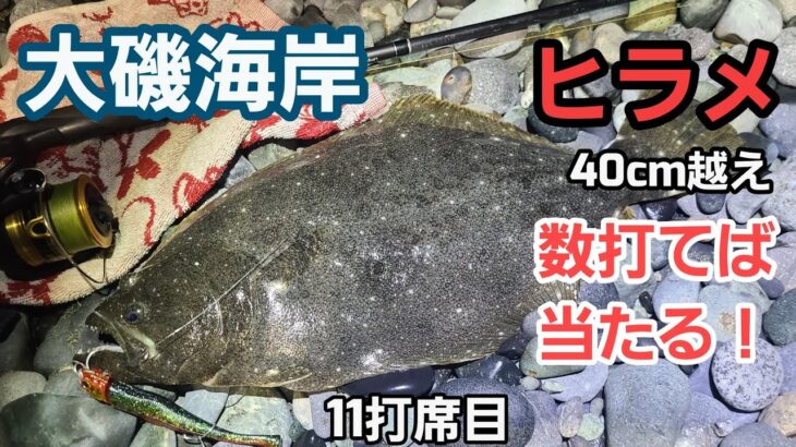 【大磯海岸】速報 ヒラメ釣れた！ 釣れた条件、状況など  2023年3月中旬 ルアー釣り