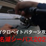 浜名湖シーバス2023、3月のマイクロベイトパターン攻略