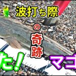 【後編ルアー釣り】🐟ヒラメ、マゴチは思ったより近くに居る事が良く分かった日。【釣行日2023/3/16(木)】