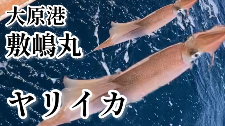 【外房イカ釣り】第二敷嶋丸で外房のヤリイカ釣りへ2023年3月19日