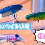 【3月のマイクロパターン】その①-稚鮎パターンで使えるルアーご紹介！【シーバス】