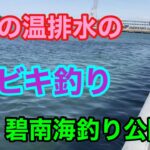 3月の温排水のサビキ釣り 碧南海釣り公園