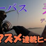 【シーバス デイゲーム】3月上旬 春のオープンエリアで連続ヒット! 夕マズメの短時間釣行