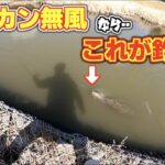 3月 霞ヶ浦 ピーカン無風の日中はシャッドテールを巻く