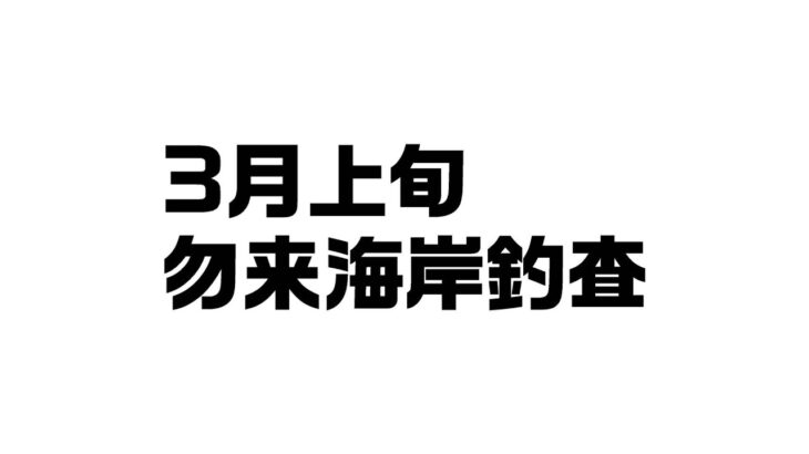 3月上旬の勿来海岸釣査