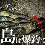 【アジング】3月にアジ・青物が釣れる場所